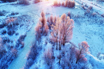 ѩ����Ӻ�����ѩ��