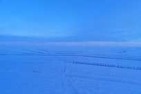 ѩ��ѩԭũ��Ұѩ��ĺɫ