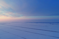 ����ũ�������ĺɫ