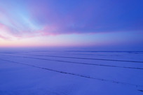 ����ũ�������ѩҰĺɫ