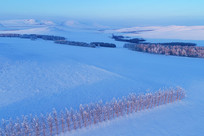 ���ױ�������ѩԭ��Ұ 