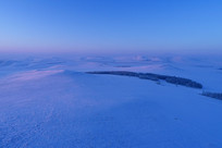 ���ױ�������ԭҰĺɫ