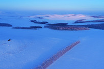 ���ױ���ѩҰũ��ĺɫ