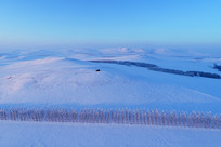 ���ױ���ԭҰѩ��ĺɫ