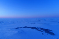 ĺɫ��ã�ĺ��ױ�������ԭҰ 