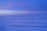 ĺɫ���ֵ�ѩԭ������Ұ 