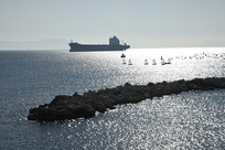 �ǲ���˹���к���