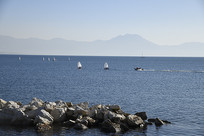 �ǲ���˹����ѵ����