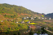 ɽ����ׯ���Ͳ˻���