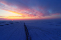 Ϧ����������ѩԭũ��