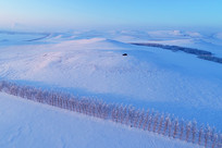 ѩԭũ������ַ羰�����ģ� 