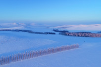 ѩ��ũ��ѩ��ĺɫ