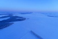 ѩ��ѩҰ����ĺɫ