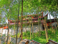 �ɶ�����Ϫ����-����ɽ������ 