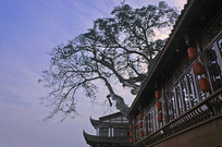 �ɶ�����Ϫ����-�������