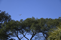 ���ַ���