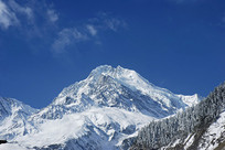 ���ݹ�ѩ�� 