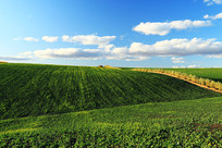 ���ױ��������＾��԰���