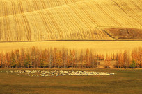 ���ױ������羰