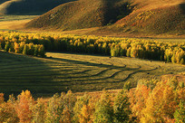 ������Ұ���� 