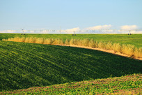 ������Ұ���ط��