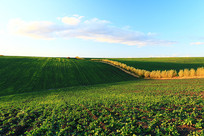 ũ���������ɫ