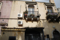 �ն����ɹŽ���