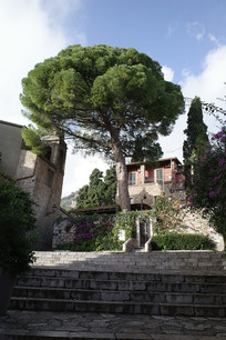 �ն����ɹ���־�