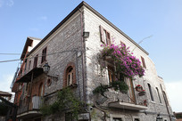 �ն����ɹ�����