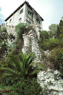 �ն�����ɽ������