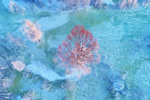 ���ı��Ӻ���