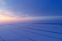 ���ױ���ѩԭũ��ĺɫ�����ģ�