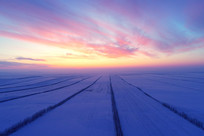 ���ױ���ѩ��ѩԭĺɫ��ã