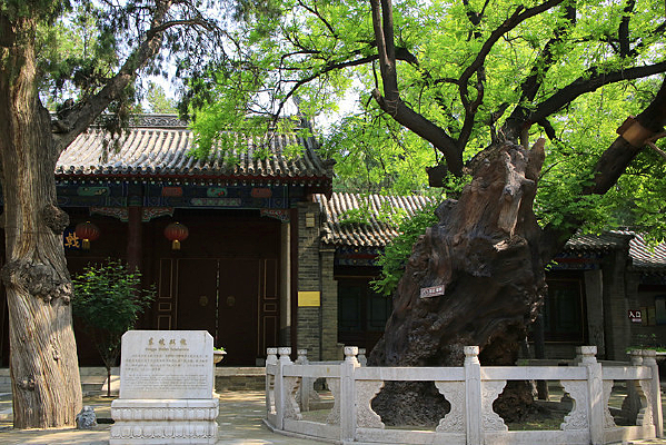 ����˫��������������