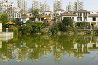 ����������ˮ�浹Ӱ  