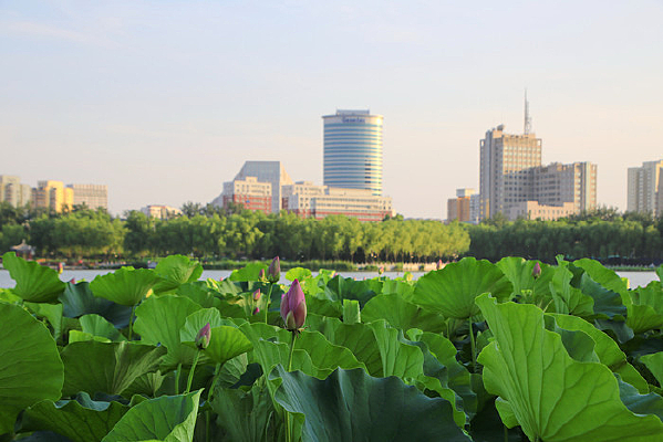 �����ع�԰