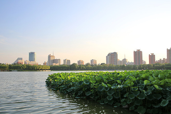 �����ع�԰����