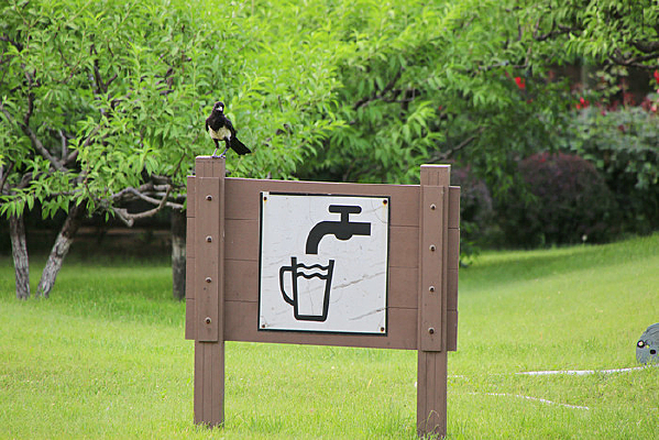 ϲȵ��̬��԰