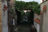 ������ӵ���