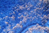 ���˰����ֺ�ѩԭѩ�� 