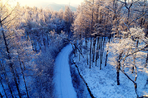 ���˰���ѩ��ɽ·���