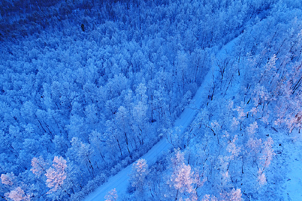 ���˰���ѩҰ������ڡɽ·