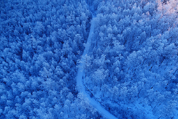 ���˰���ѩԭѩ��ɽ·�����ģ�