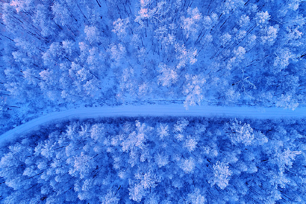 ���Ĵ��˰���ɭ��ѩ·