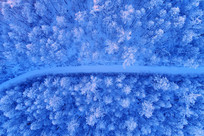 ���Ĵ��˰���ɭ��ѩ·