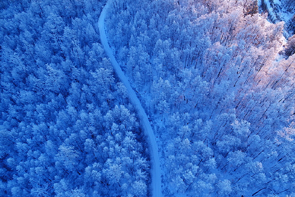 ���Ĵ��˰���ѩԭ��·