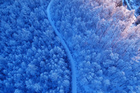 ���Ĵ��˰���ѩԭ��·