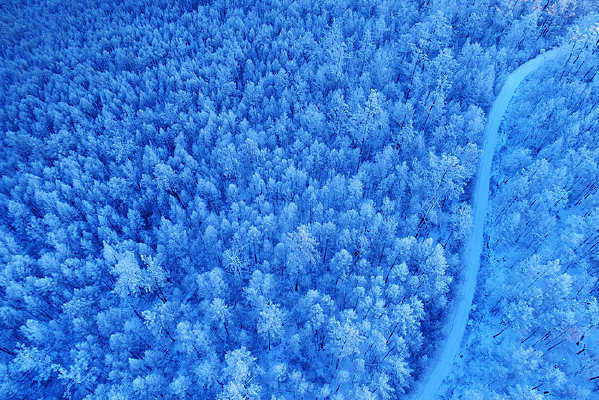 �����ֺ�ѩԭɽ· 