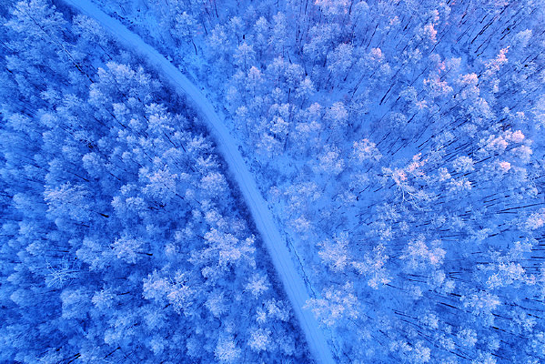 ����ѩԭ����ɽ·