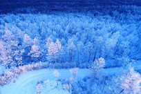 �ֺ�ѩԭѩ��